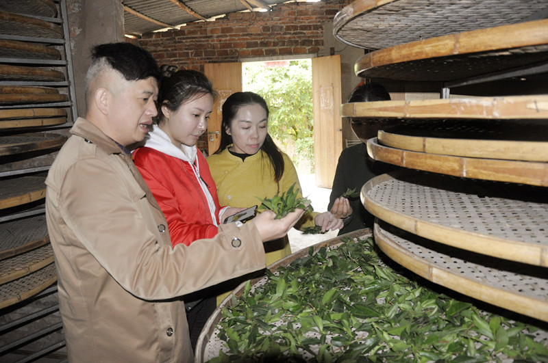 天晟茶艺培训学校是否有茶叶店经营管理课程？